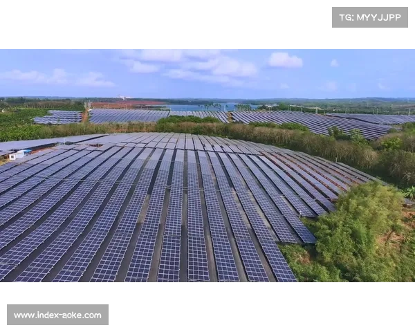 威尼斯足球场屋顶光伏系统项目启动 力争实现能源自给自足 威尼斯足球场屋顶光伏系统项目启动 力争实现能源自给自足