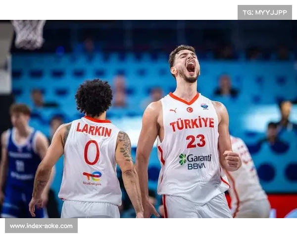 土耳其与希腊激战半决赛 申京对决字母哥引爆悬念 土耳其与希腊激战半决赛 申京对决字母哥引爆悬念