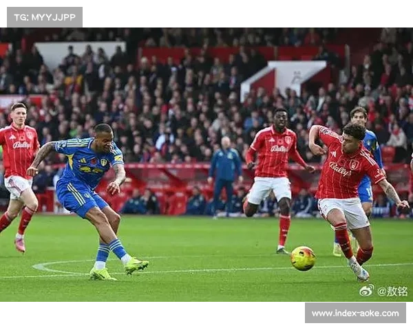 诺丁汉森林与利兹联逐渐拉开差距 保级阵营分化明显