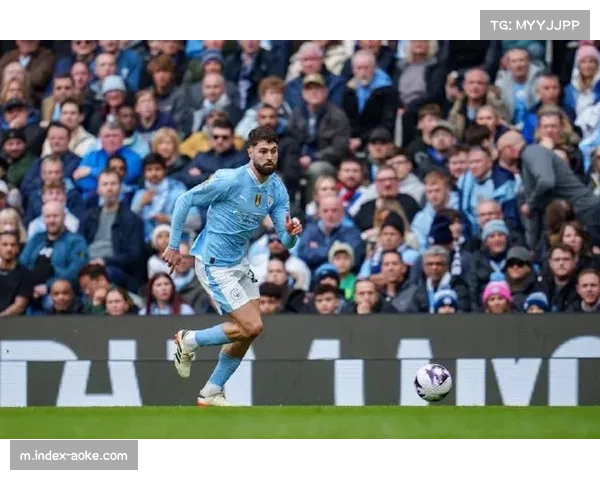 诺丁汉森林B-评级获肯定 卢卡内茨补强锋线保级形势乐观